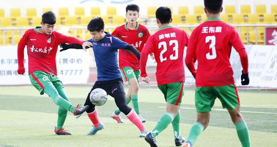  青少年足球锦标赛落幕，潜力新苗脱颖而出  