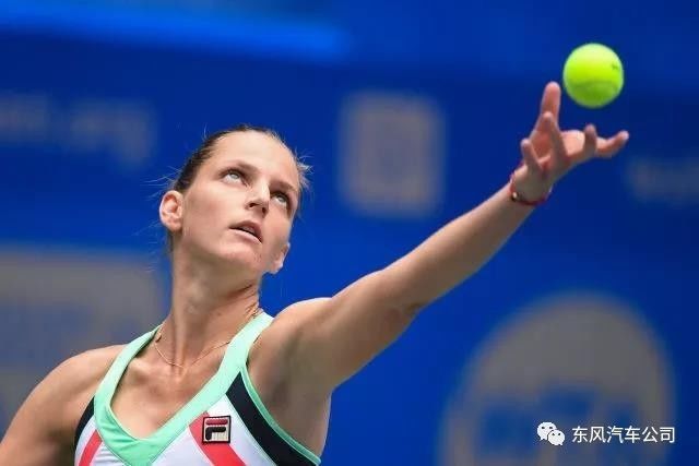  轮椅网球公开赛落幕，残奥冠军卫冕展现坚韧精神  